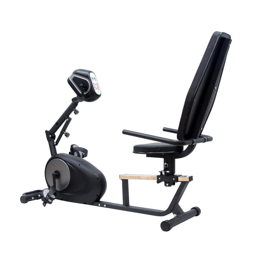 Theracycle-R Motorized Therapy Bike with Swivel Seat