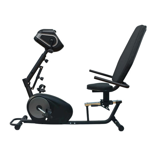 Theracycle-R Motorized Therapy Bike with Swivel Seat