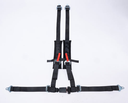 Four point harness for Theracycle